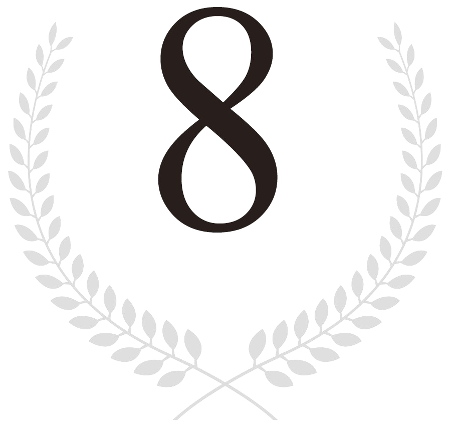 icon-8